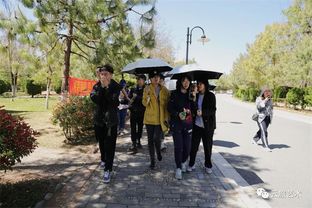 川美手工藝術學院與藝術設計學院課程研討交流會策劃方案