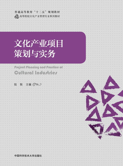 文化產(chǎn)業(yè)項目策劃與實務 以文化藝術交流活動策劃為例